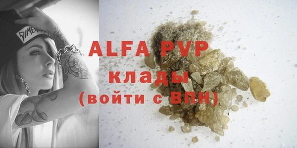 индика Алексин
