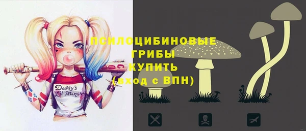 Альфа ПВП Алзамай