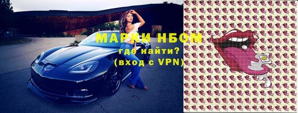 индика Алексин
