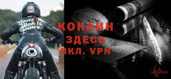 индика Алексин