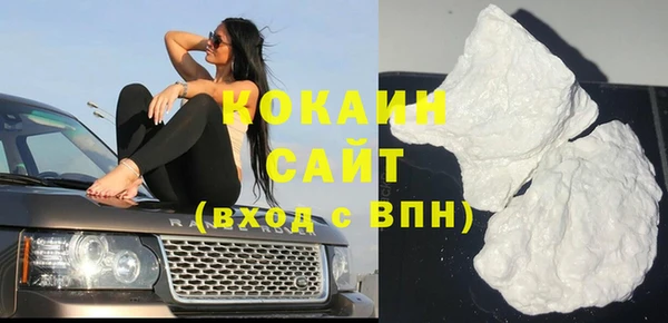 индика Алексин