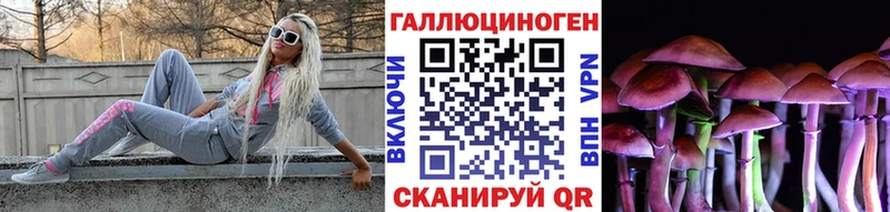 Галлюциногенные грибы мицелий сколько стоит Нефтекумск